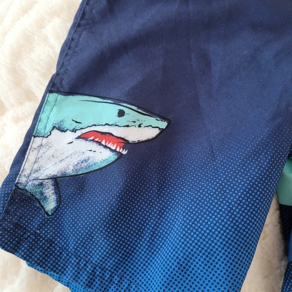 Swim Trunks - Picture 3 of 5